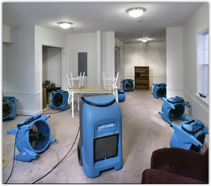 Water Damage Restoration services in Lighthouse Point, FL