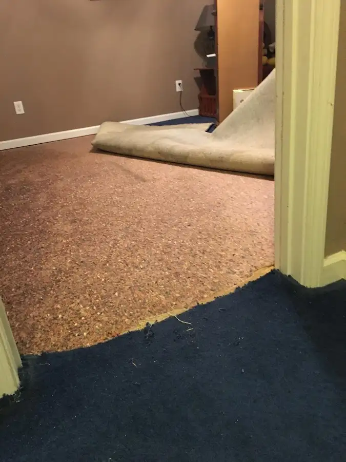 Carpet pad removal revealing water damage during Drying & Dehumidification in Lighthouse Point