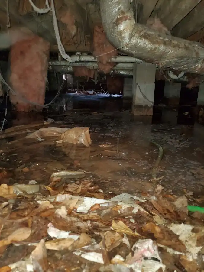 Crawl space flood assessment for Leak Detection & Repair in Lighthouse Point