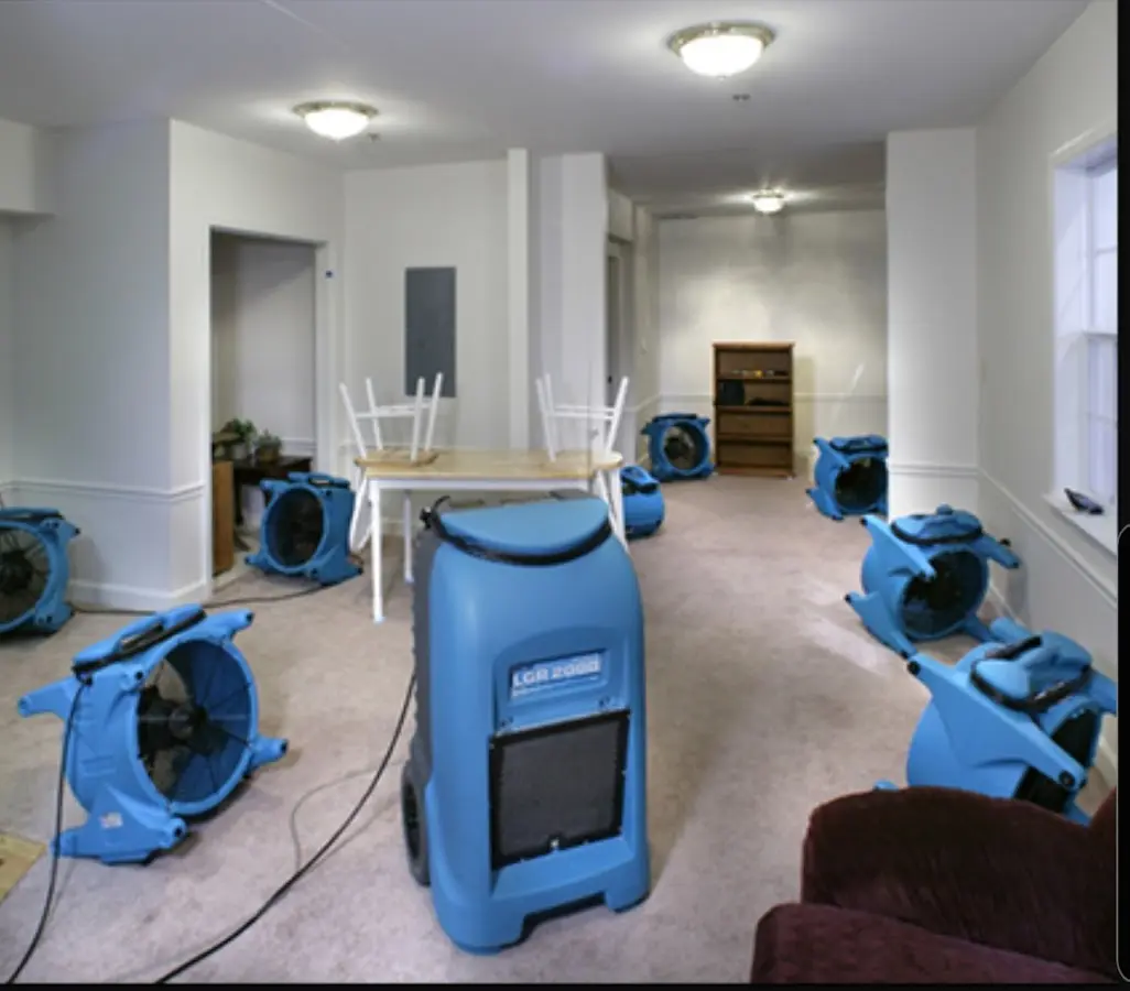 Air movers and dehumidifier setup for Water Extraction & Removal in Lighthouse Point